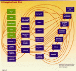 Click to see diagram of a complex soil food web