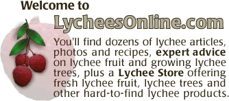 You'll find dozens of lychee articles, photots and recipes, expert advice on lychee fruit and growing lychee trees, PLUS a Lychee Store offering fresh lychee fruit, lychee trees and other hard-to-find lychee products.